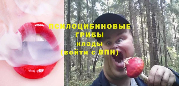 МДПВ Алзамай