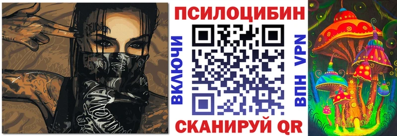 Псилоцибиновые грибы прущие грибы  Томмот 
